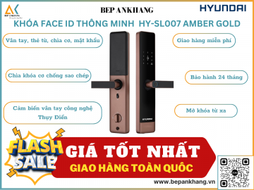 Khóa vân tay thông minh HYUNDAI HY-SL007 AMBER GOLD - Hệ cửa gỗ